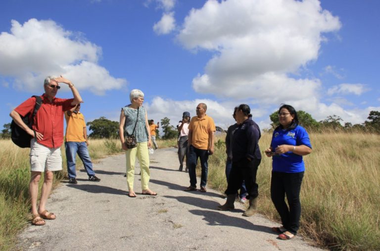 Group walking on road on sunny day