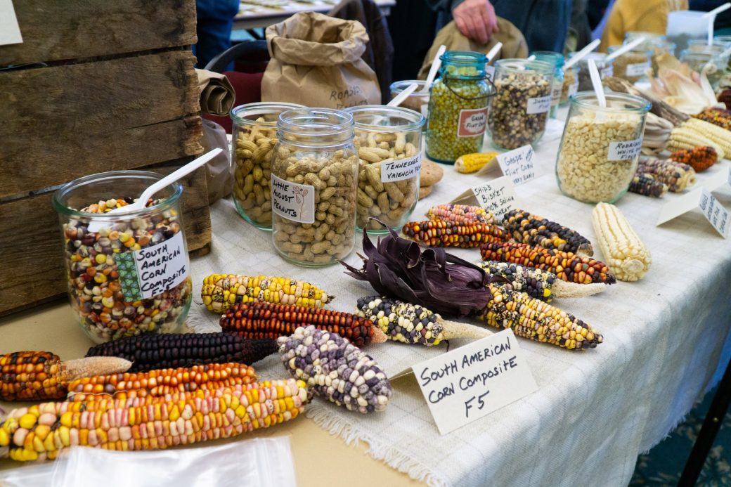 Table with different types of seeds Michiana Regional Seed Swap 2024
