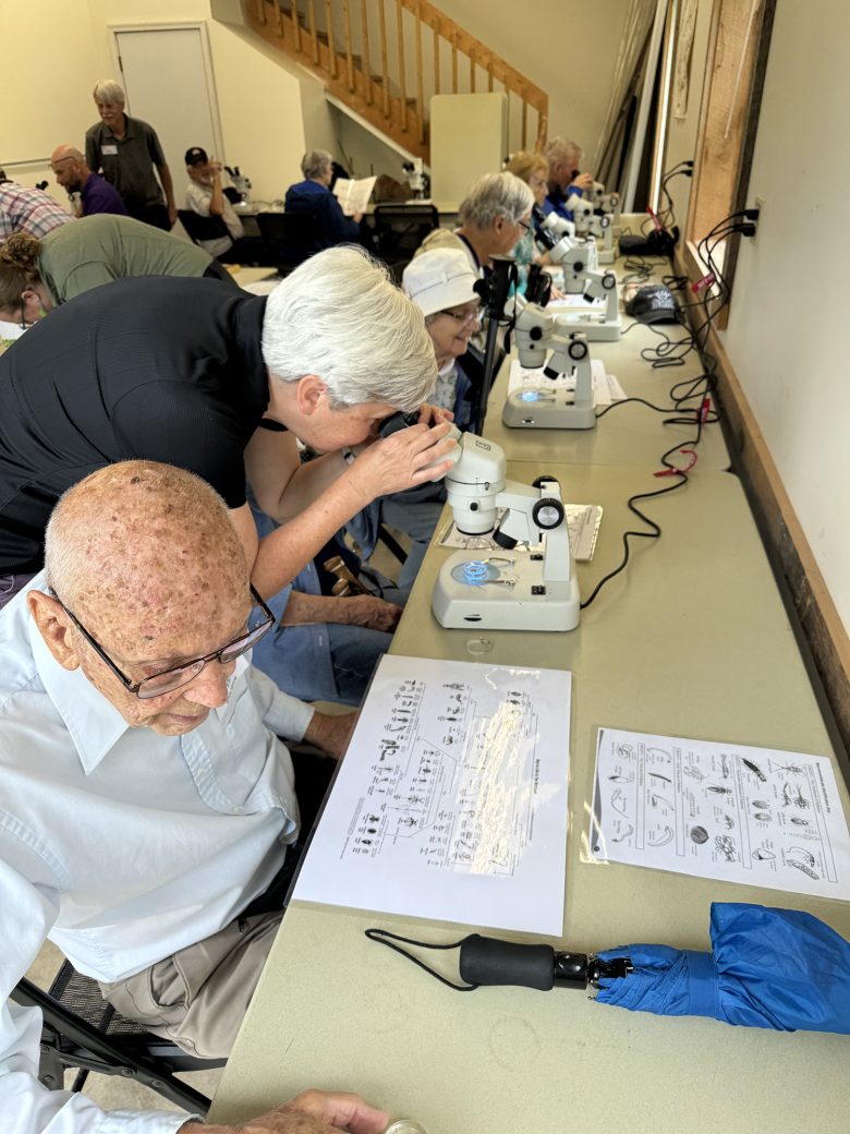 Woman using a microscope at Heritage Circle event at Merry Lea