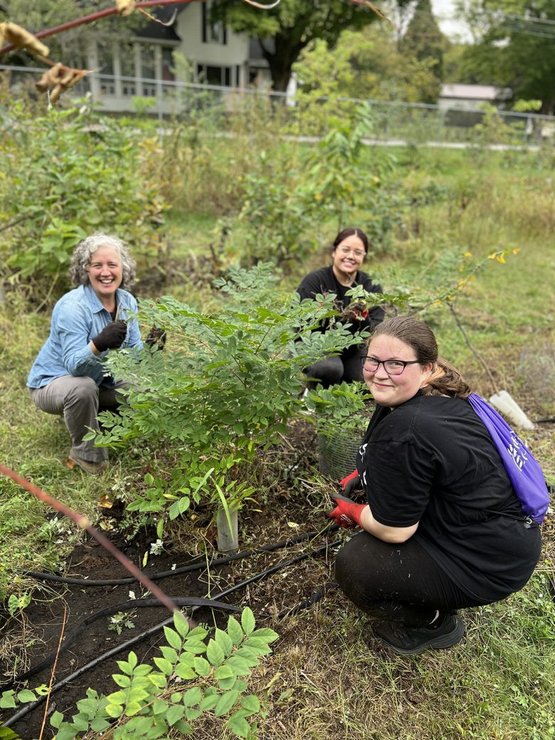 Three women planting a tree