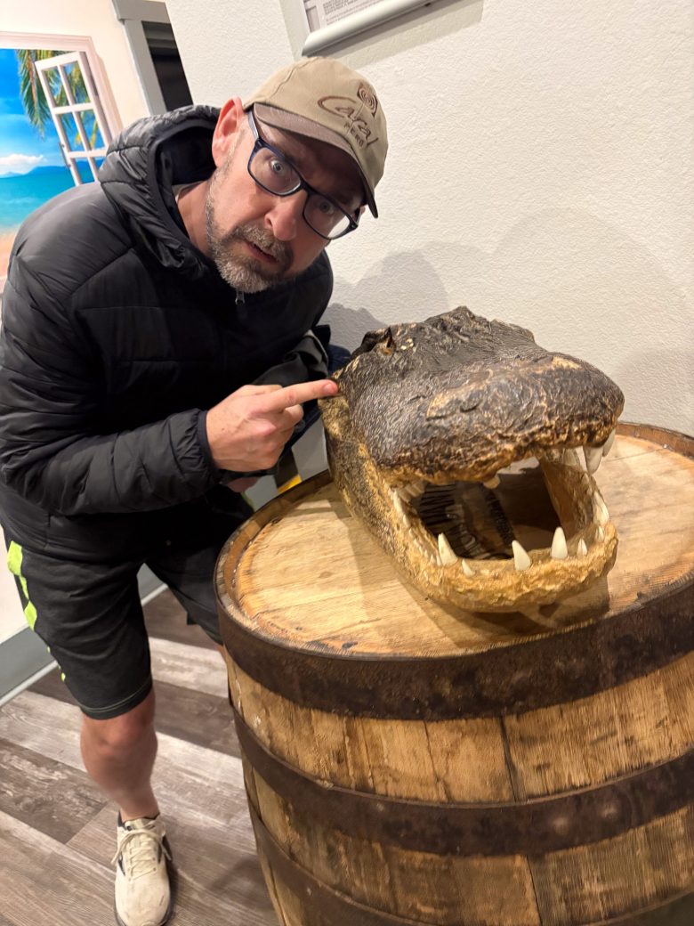 man pointing to a alligator's head
