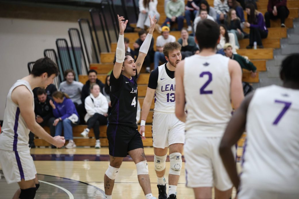 Mens volleyball team celebrating a point