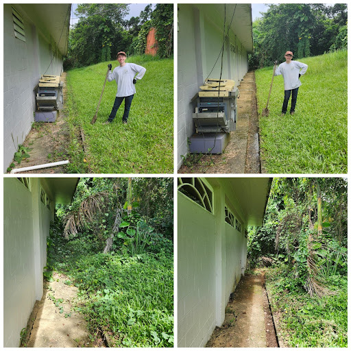 Here is a collage of the before and after pictures of our work.