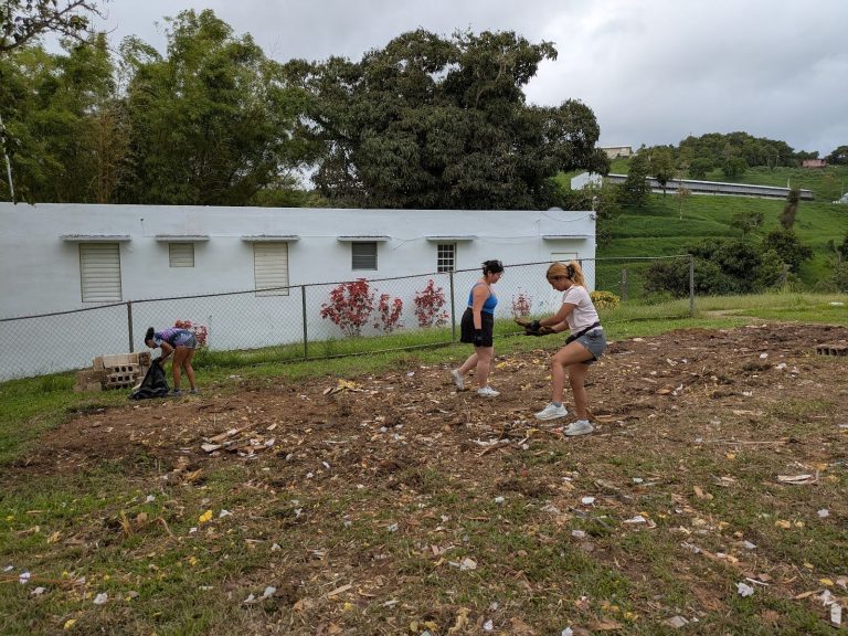 Students working in a field