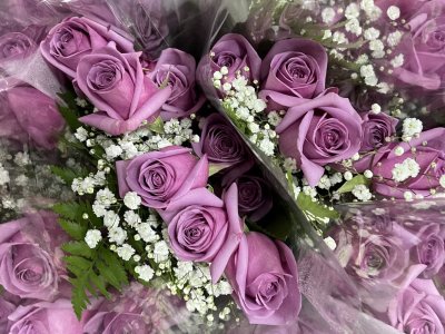 pink roses