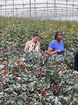 students in red rose field