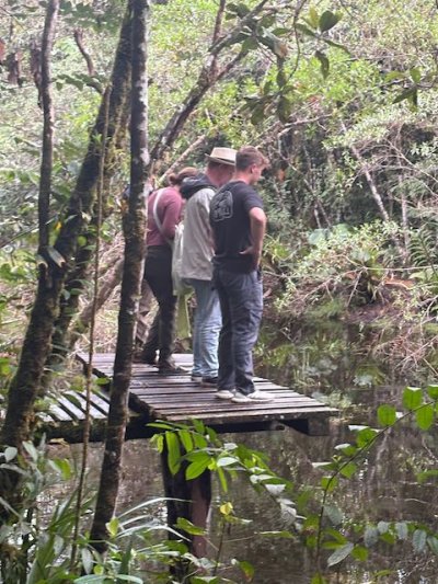Students standing on a wooden platform