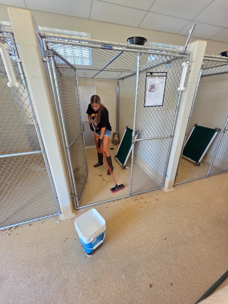 Woman sweeping a room