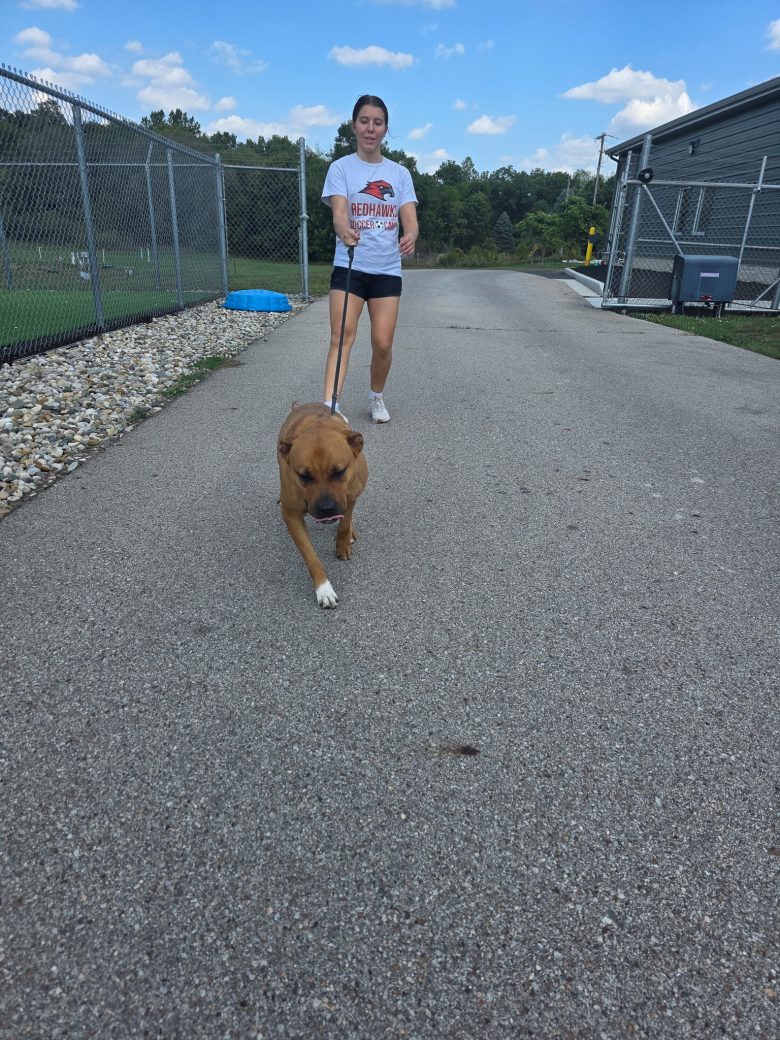 Person running with a dog