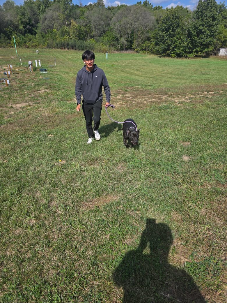 Man enjoying with a dog