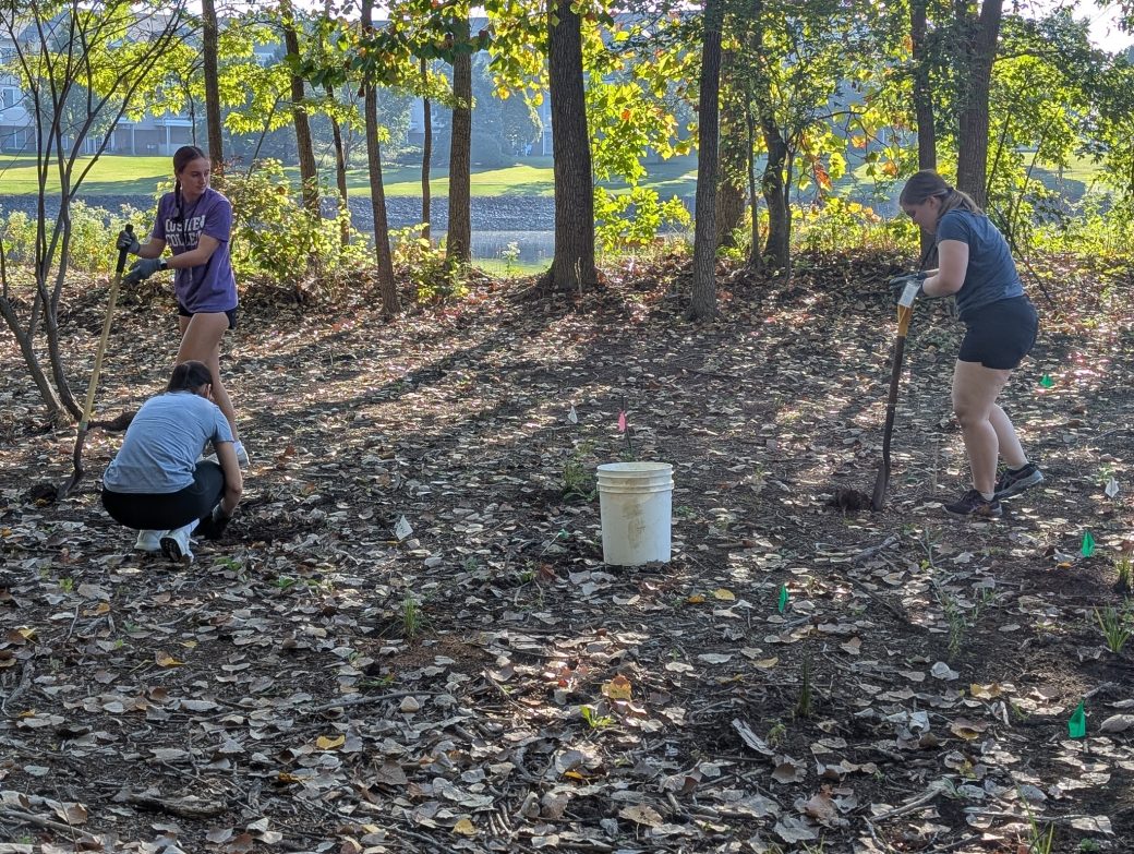 Three woman planting trees