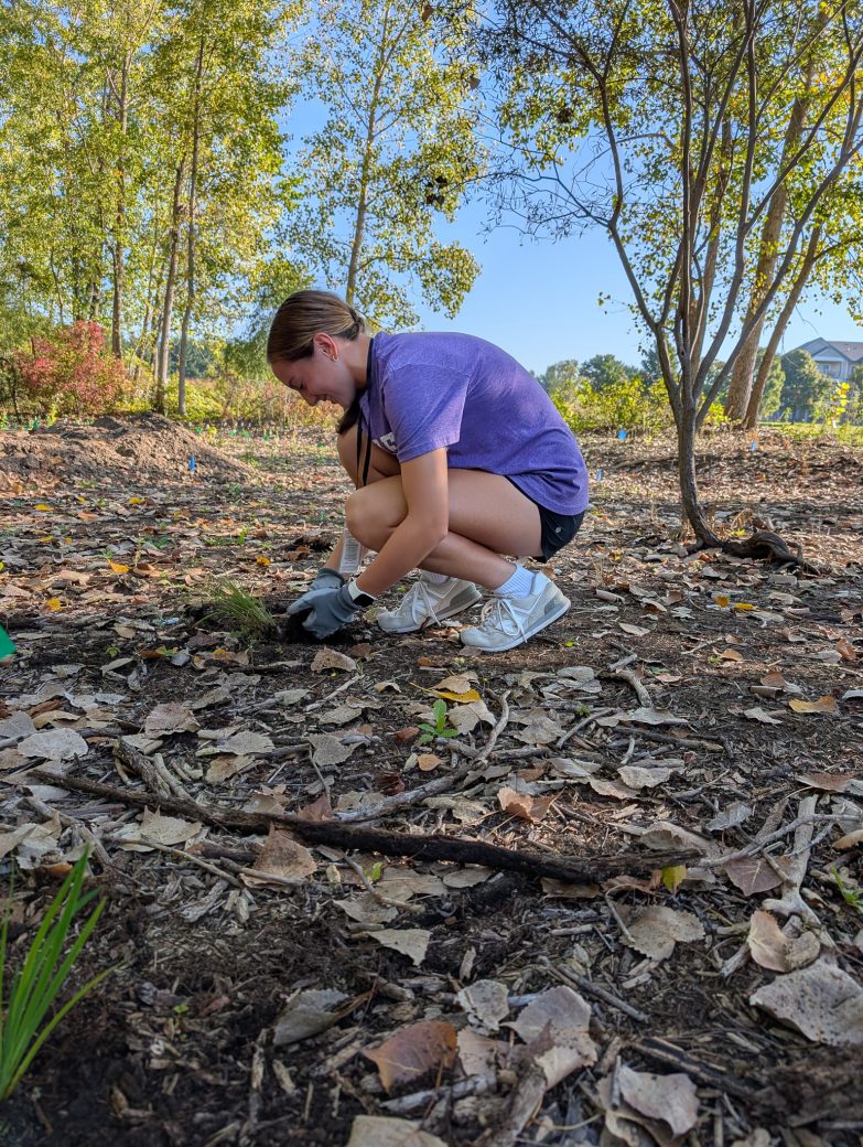 A woman planting a tree