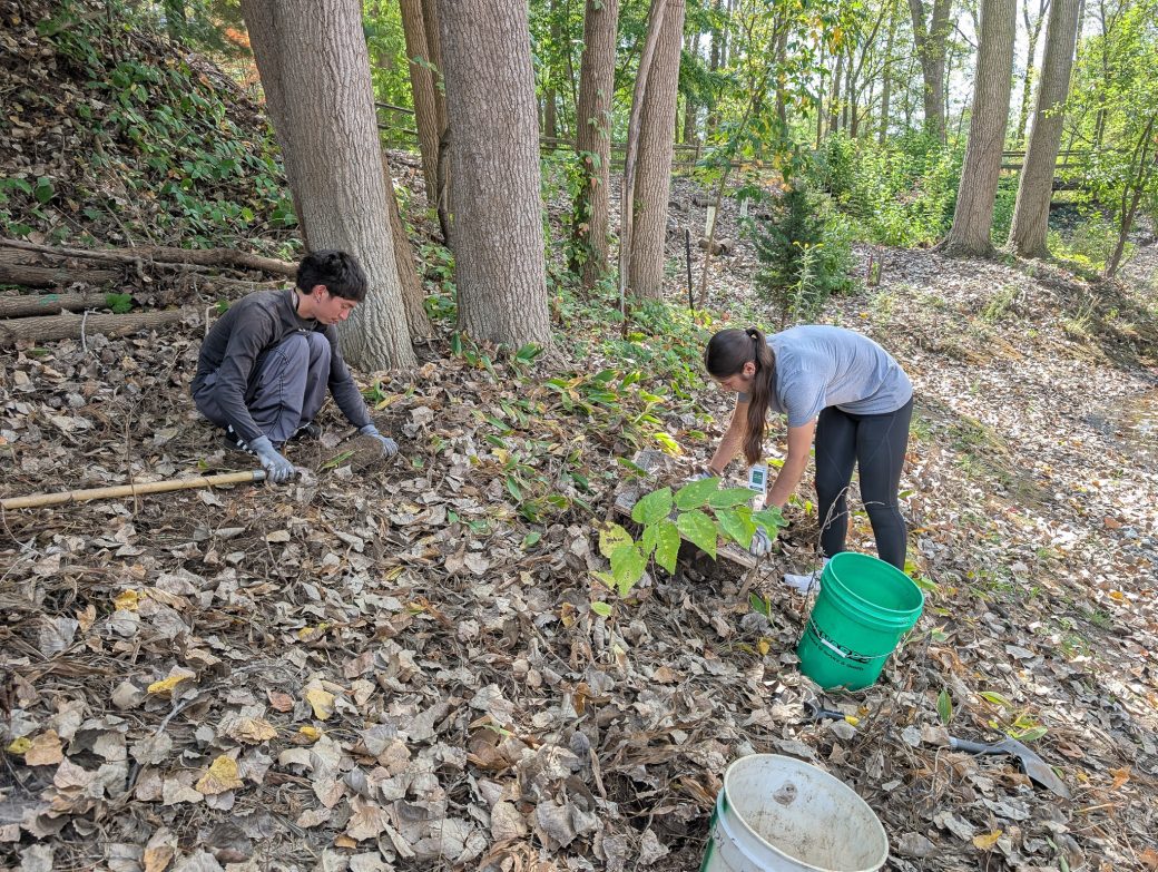 People planting trees