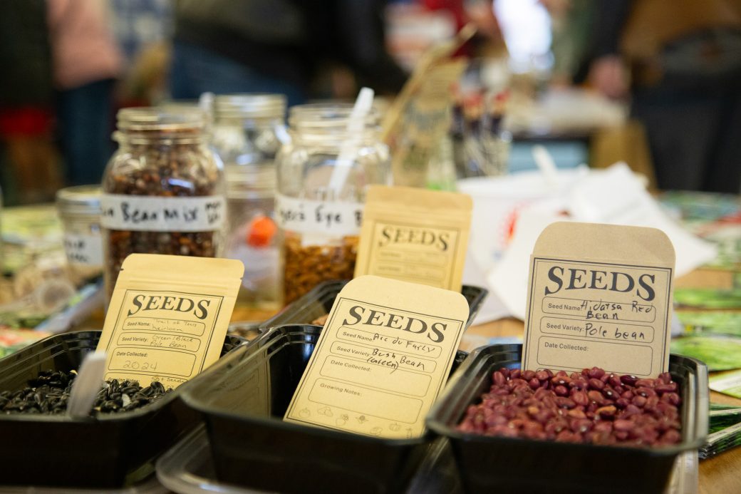 Seeds in deli containers