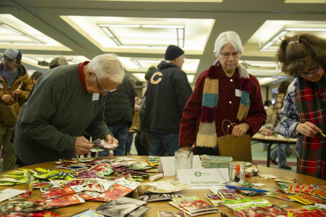 people examining seeds at table