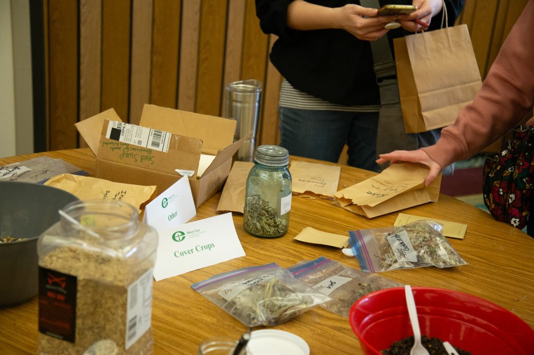 seeds on a table