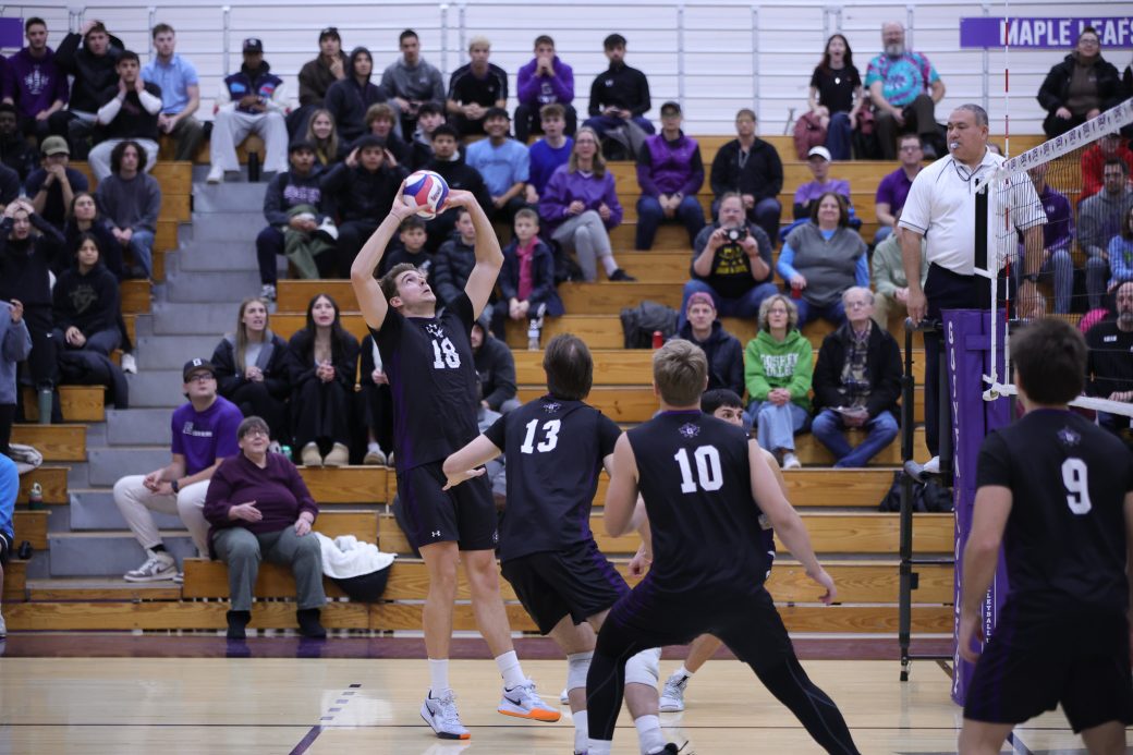 men's volleyball game