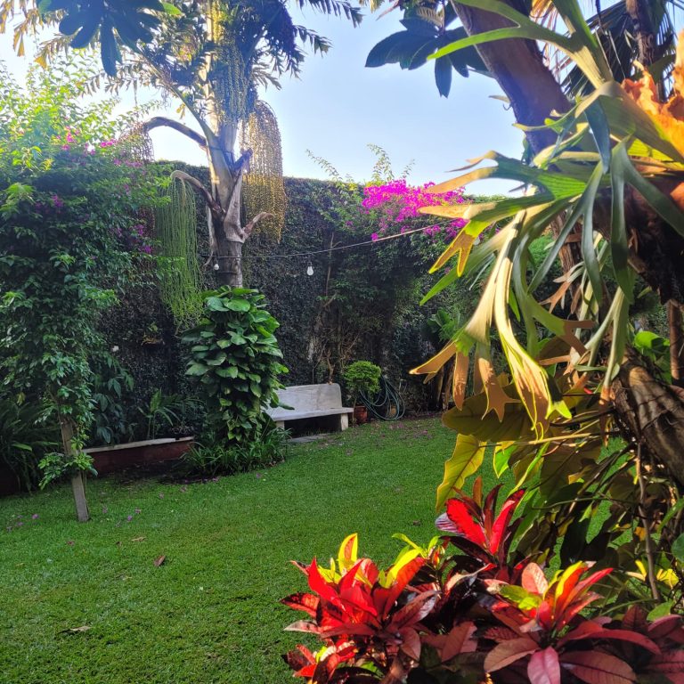 A tropical garden with plants and flowers.
