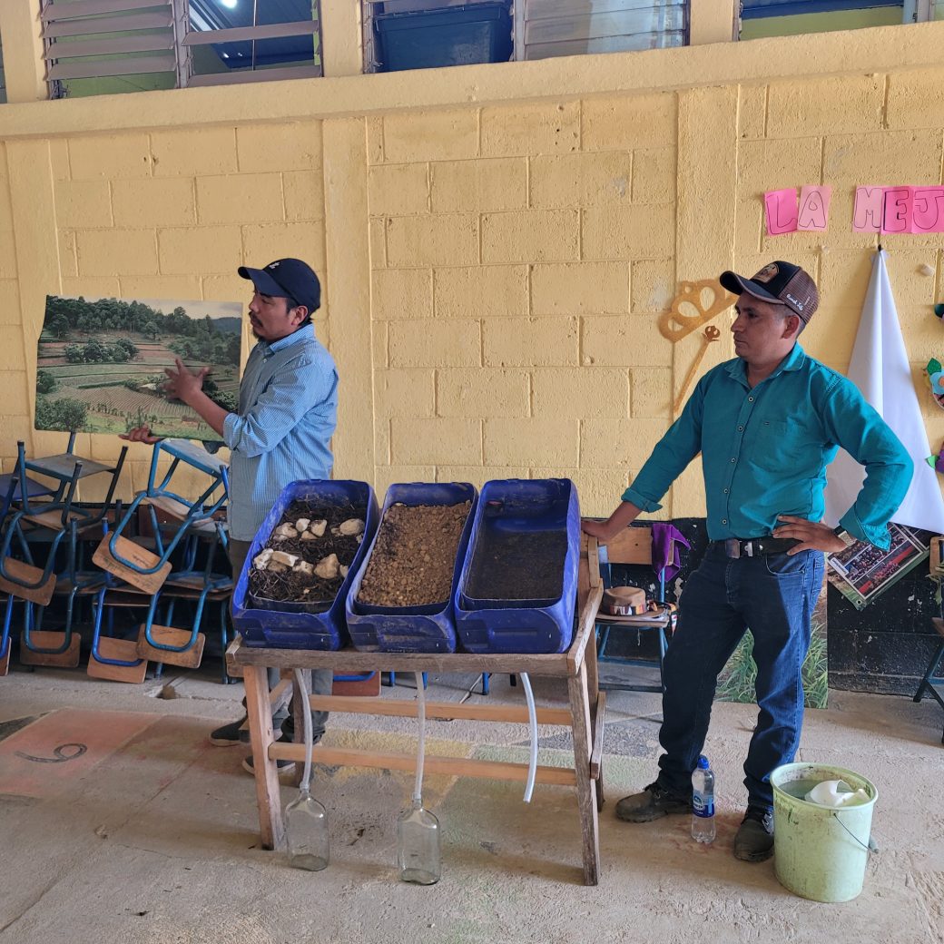 Two people standing next to three boxes filled with soil.