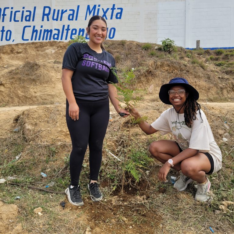 Two people next to a tree sapling.