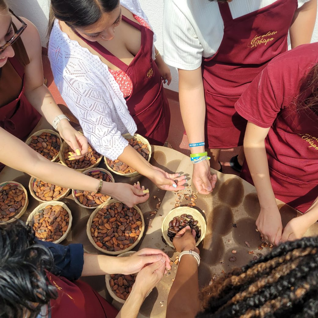 A group of people gathered around a table, shelling cacao beans.