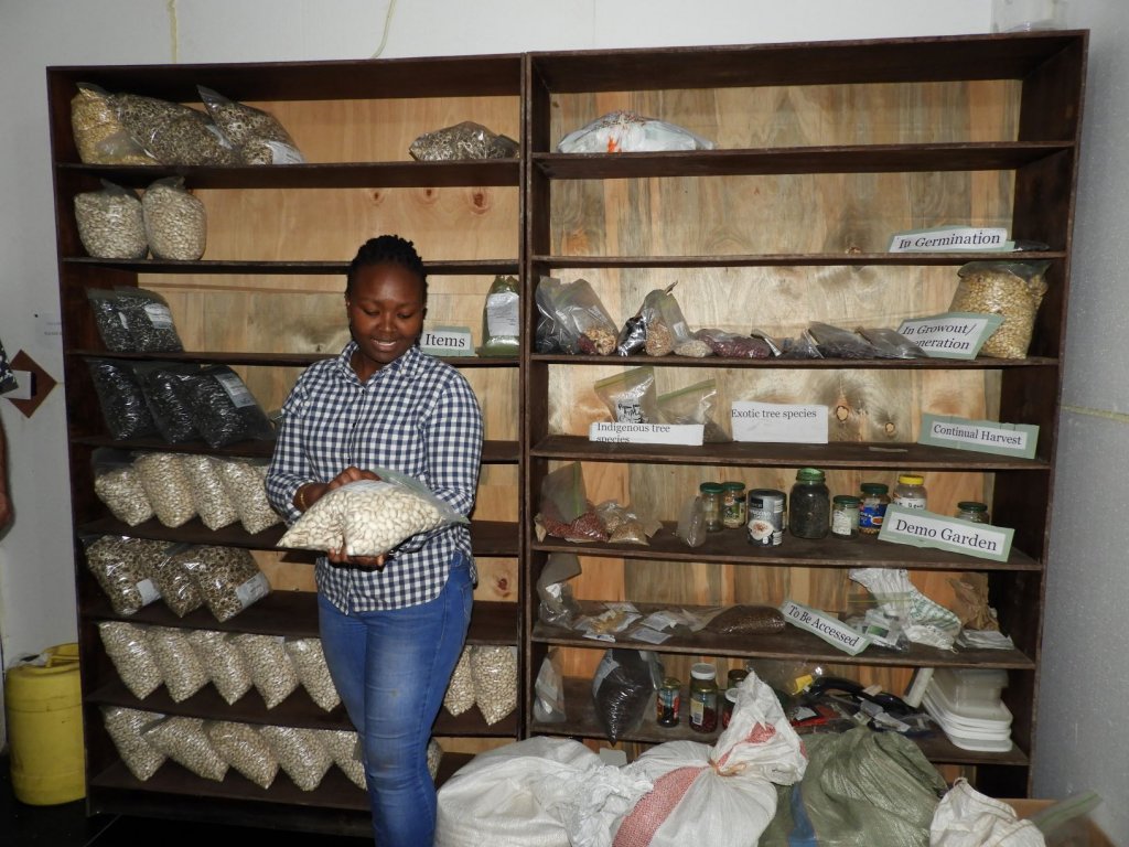 A woman standing in front of shelves full of stored seeds, holding a bowl of seeds in a seed bank.