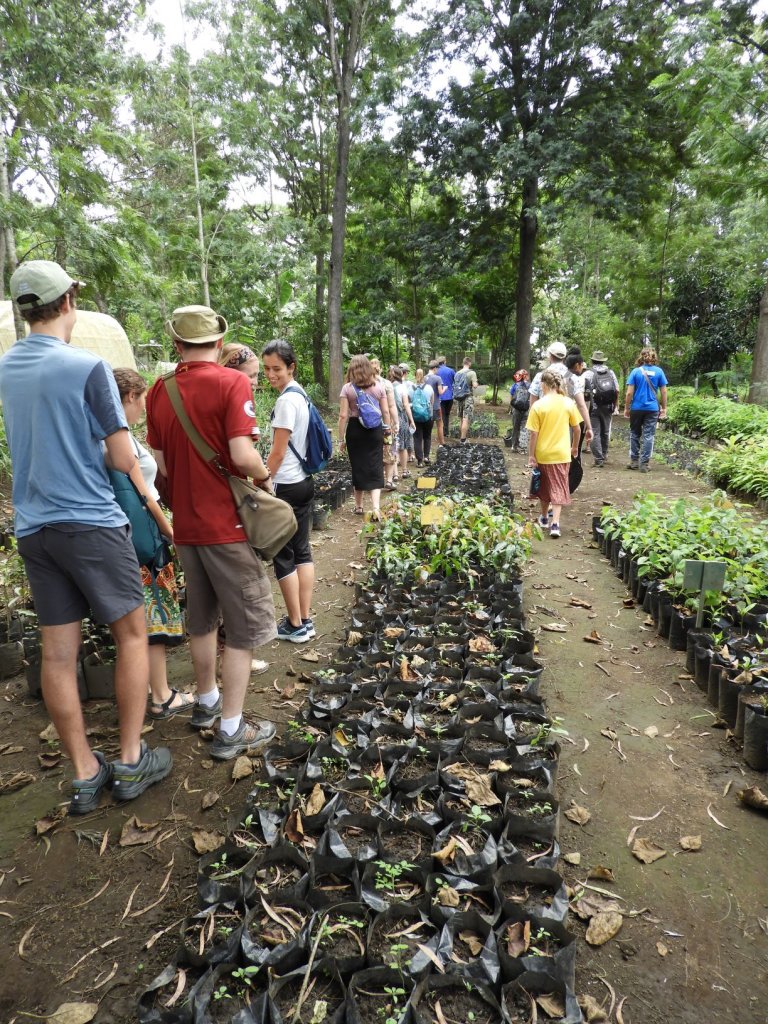 A group of people walking along a narrow garden path lined with rows of potted plants.