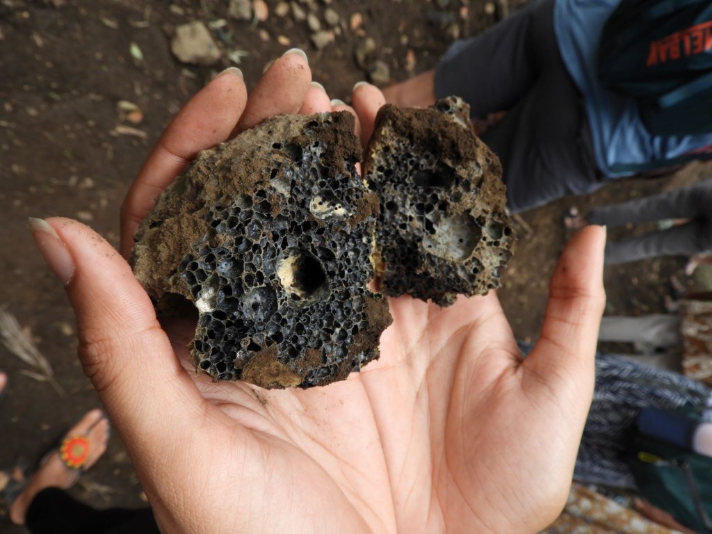 A pair of hands holding a broken-open clump of dark, rich soil outdoors.