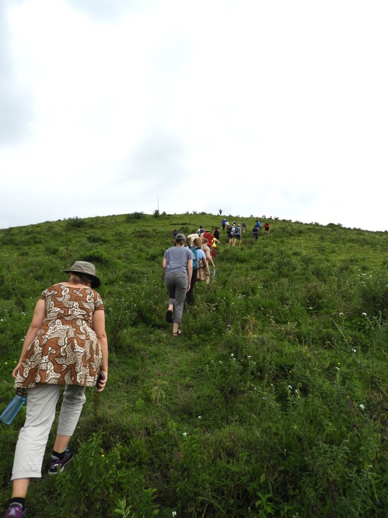 A group of people hiking up a grassy green hillside under a bright sky.