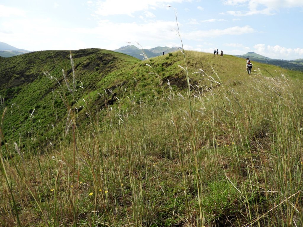 A scenic view of grassy green hills with people walking along a ridge in the distance.