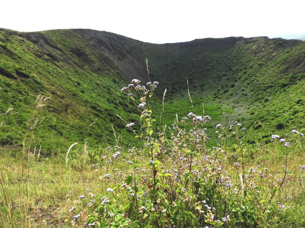 A green volcanic crater covered in vegetation with wildflowers in the foreground.