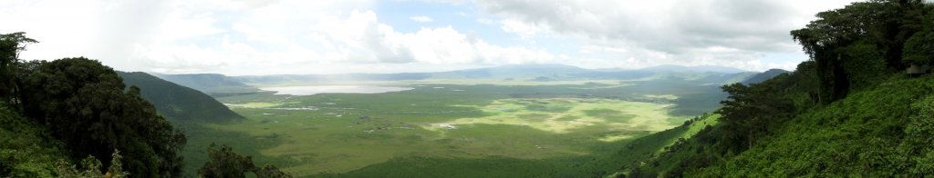 A wide panoramic view of the Ngorongoro Crater, a vast green plain framed by forested hills.