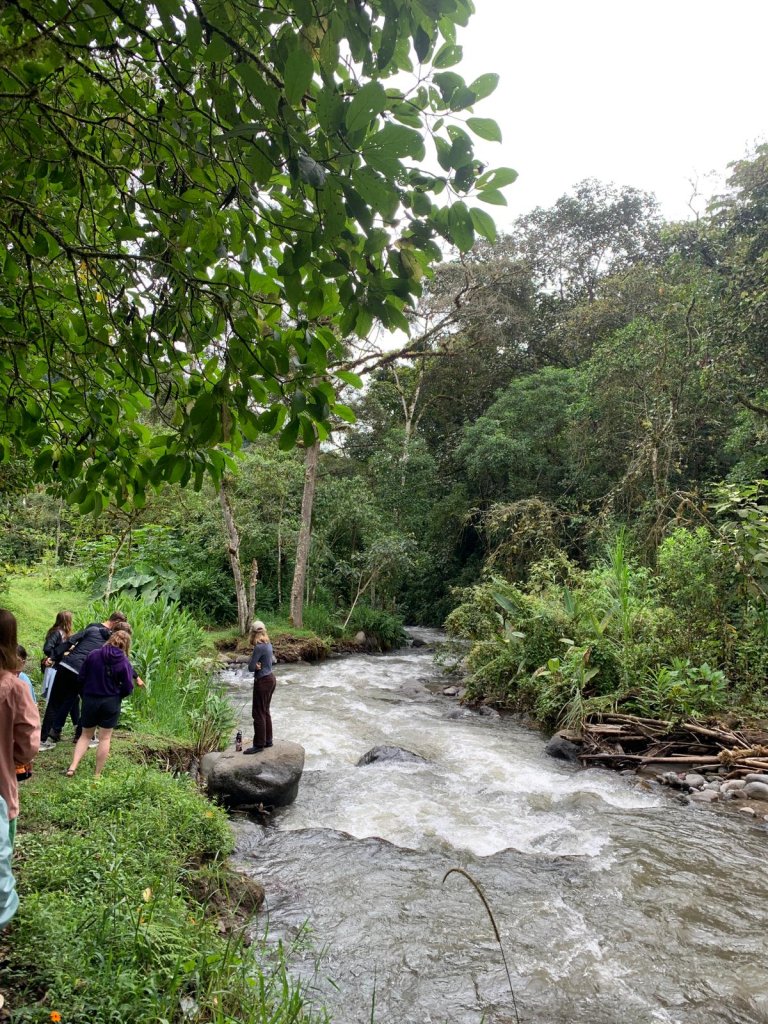 A person standing beside a river surrounded by dense greenery.