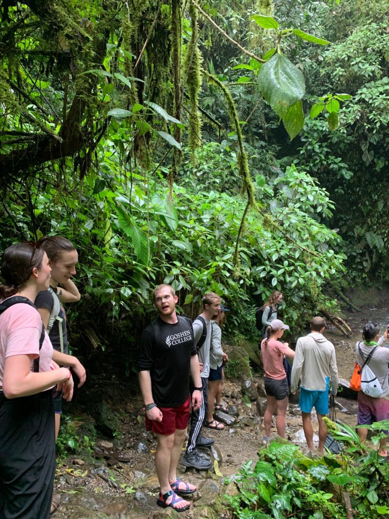 A group of hikers walking along a lush green jungle trail.