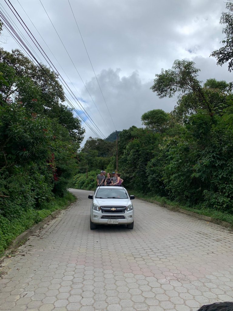 A white pickup truck driving down a tree-lined paved road under a cloudy sky.
