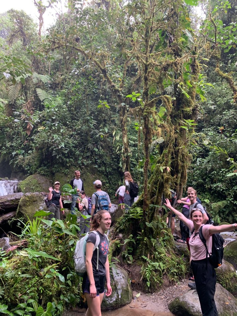 A group of hikers standing together on a trail in dense green rainforest.