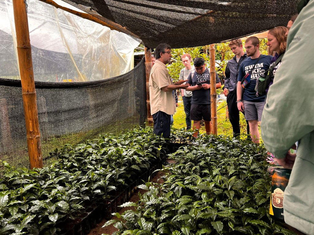 A person tending seedlings on a raised bed in a plant nursery.