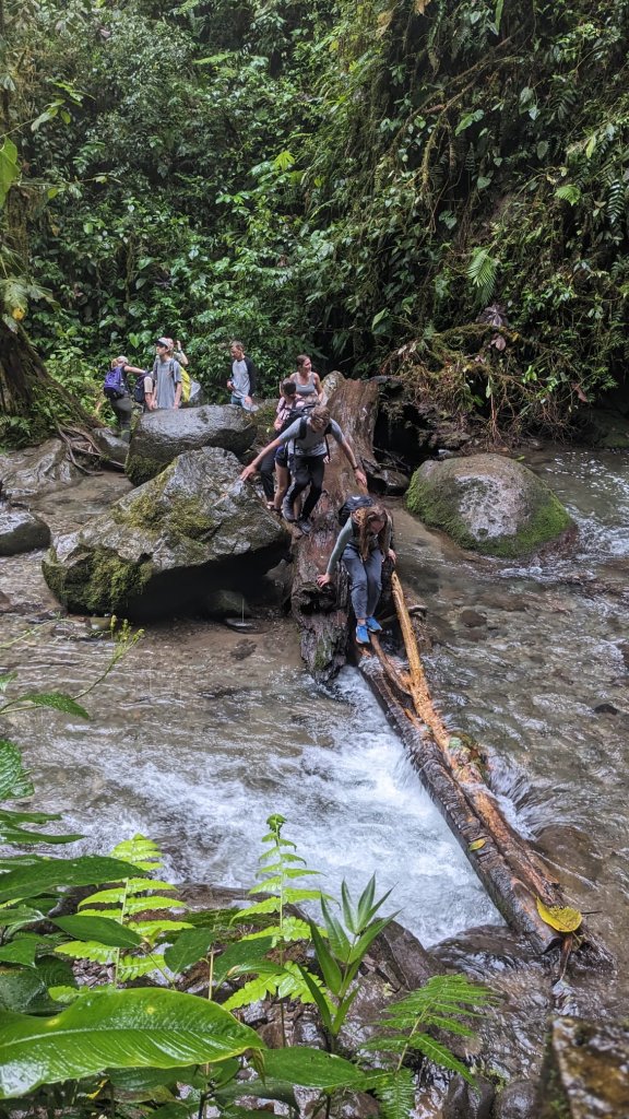 A person crossing a wooden log bridge over a rushing river in the jungle.