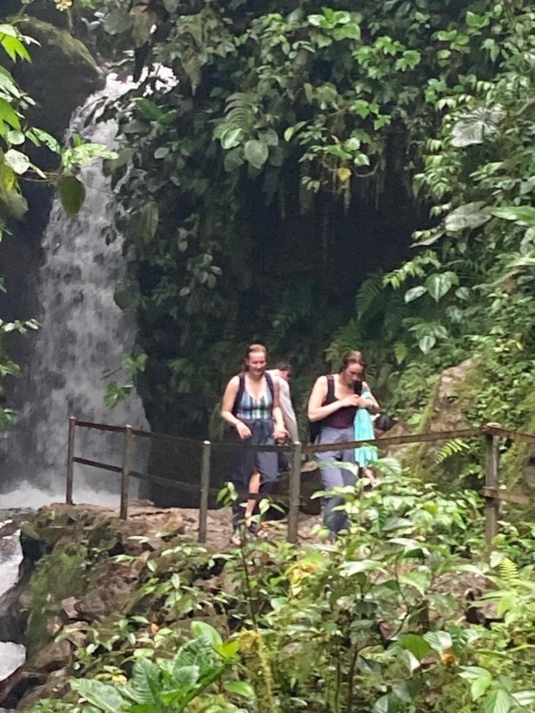 People standing near the base of a waterfall in the rainforest.