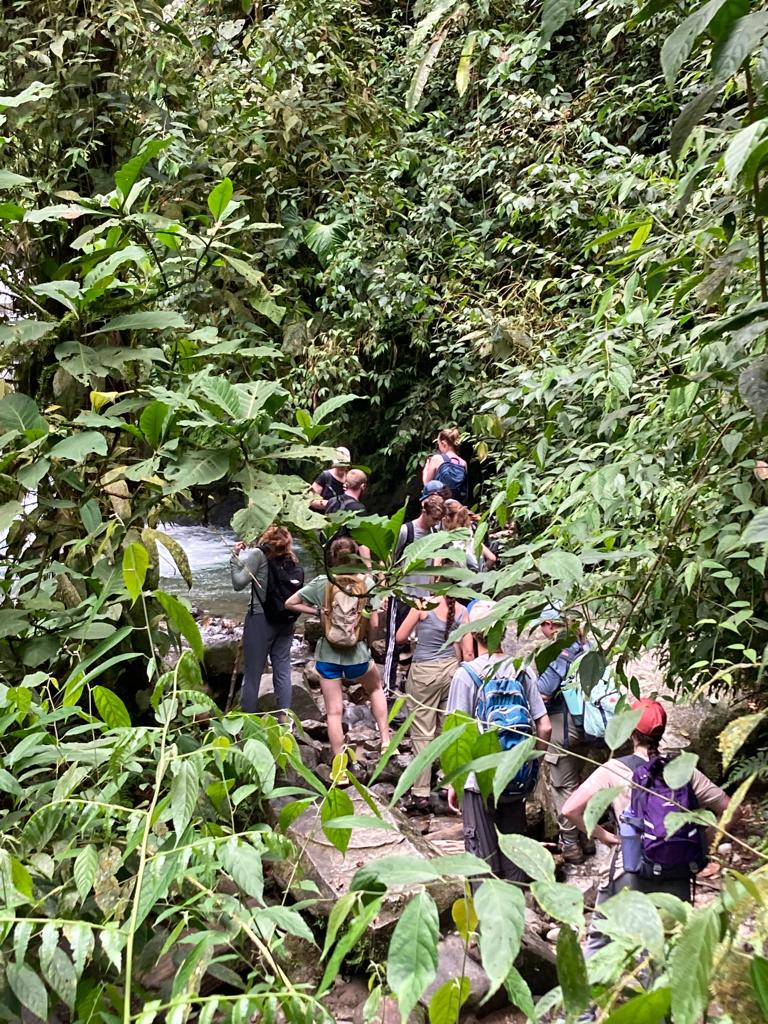 Hikers making their way down a steep trail surrounded by thick green vegetation.