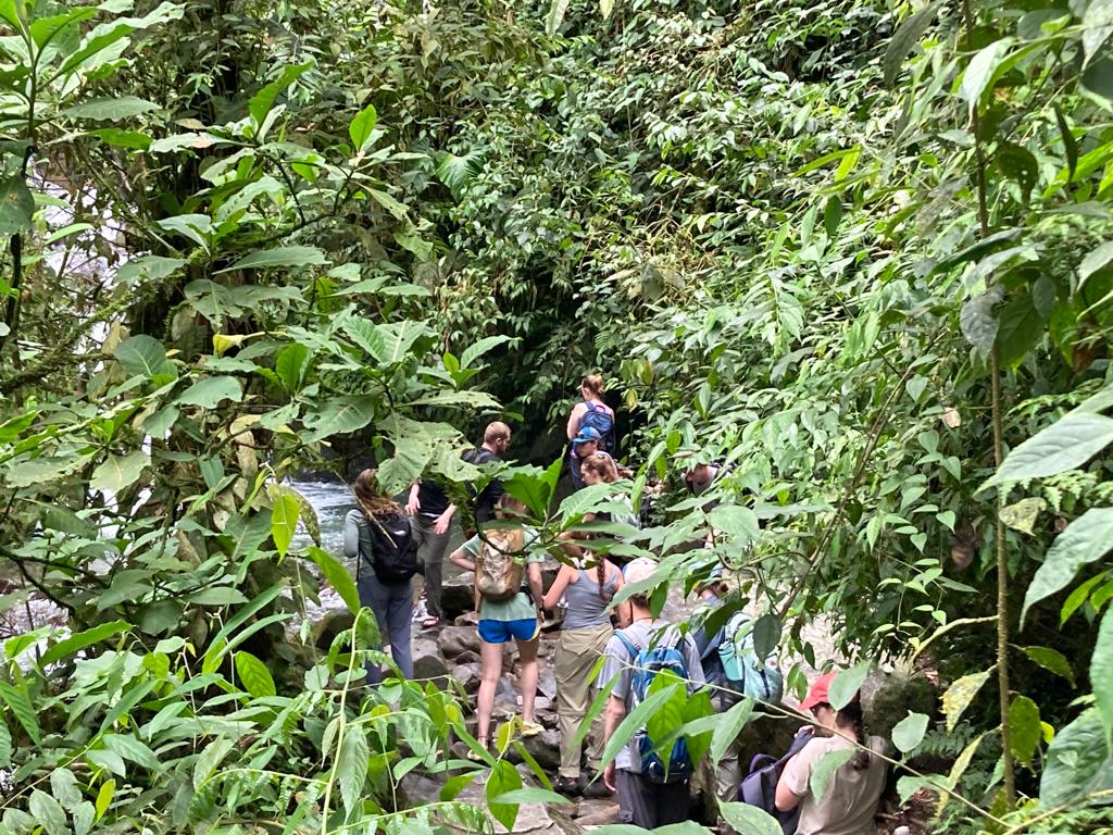 A group of people gathered near a stream amid dense tropical foliage.