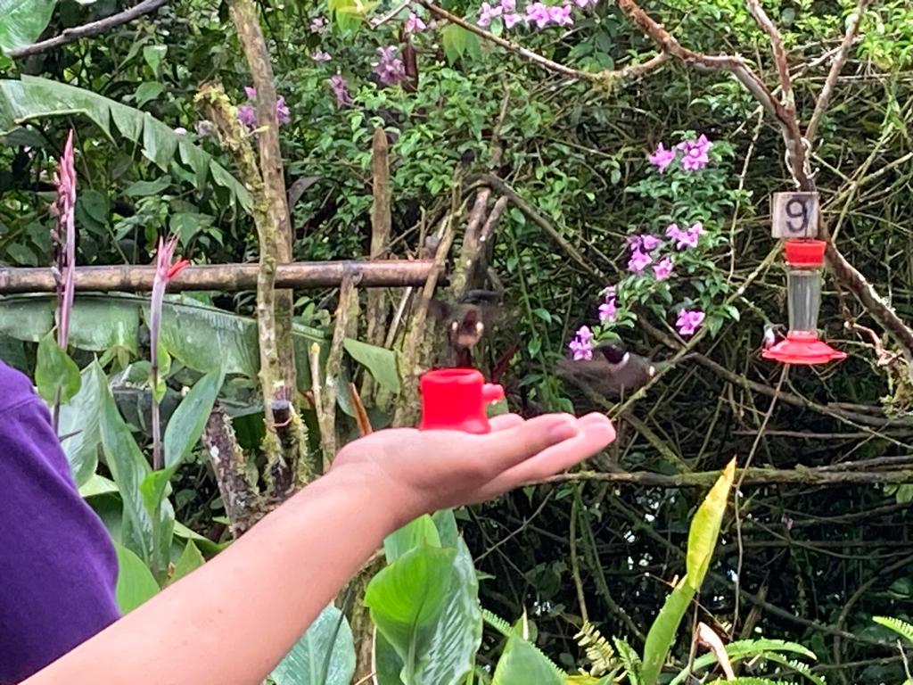 A hummingbird perched on a person's hand near a feeder.