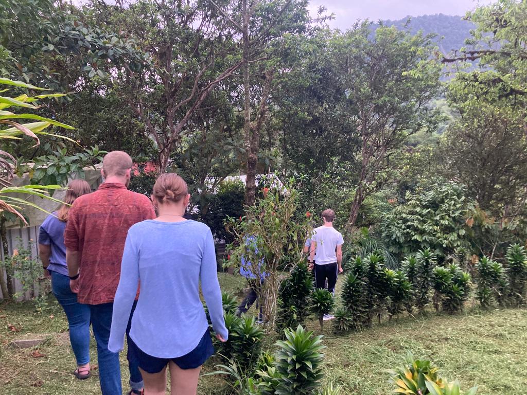 A group walking along a wooded path lined with plants.