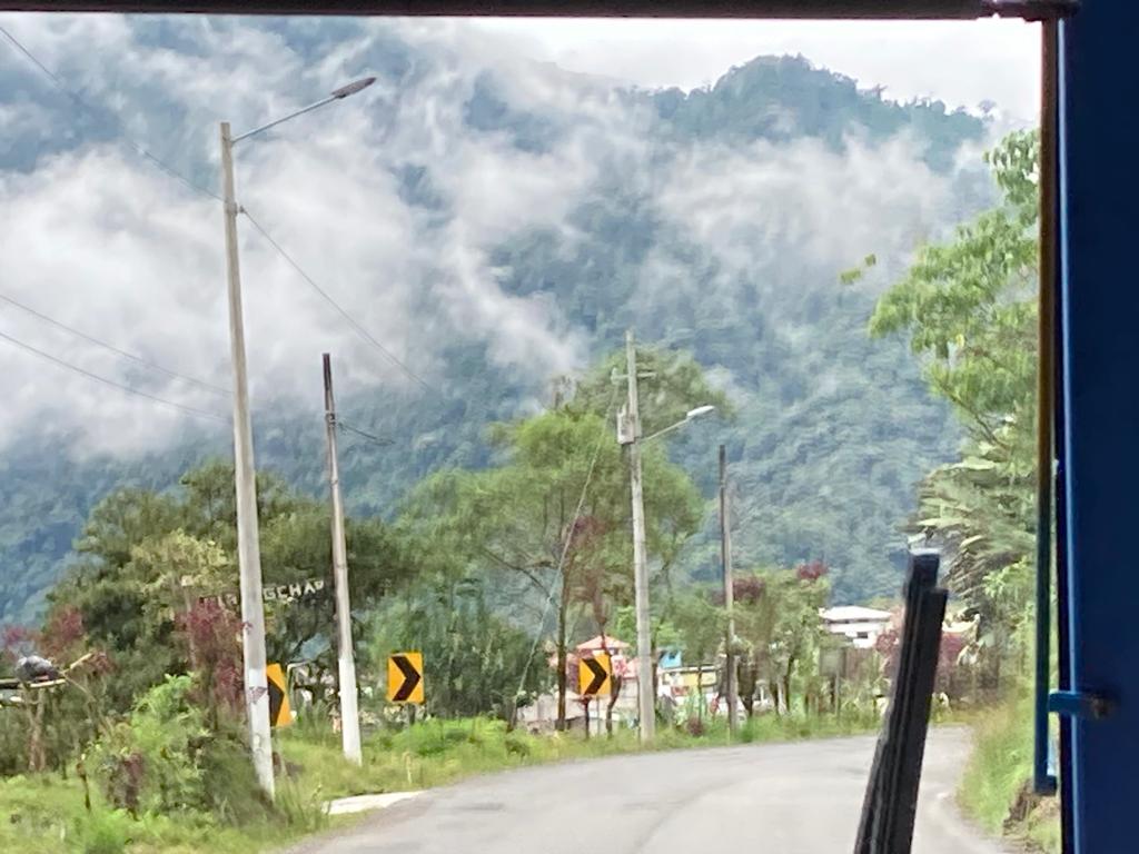 A winding rural road with yellow curve-warning signs leads toward mist-covered green mountains under a cloudy sky.