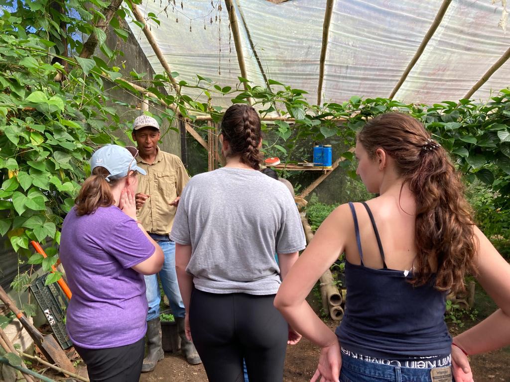 Students in purple shirts working together inside a plant-filled greenhouse.