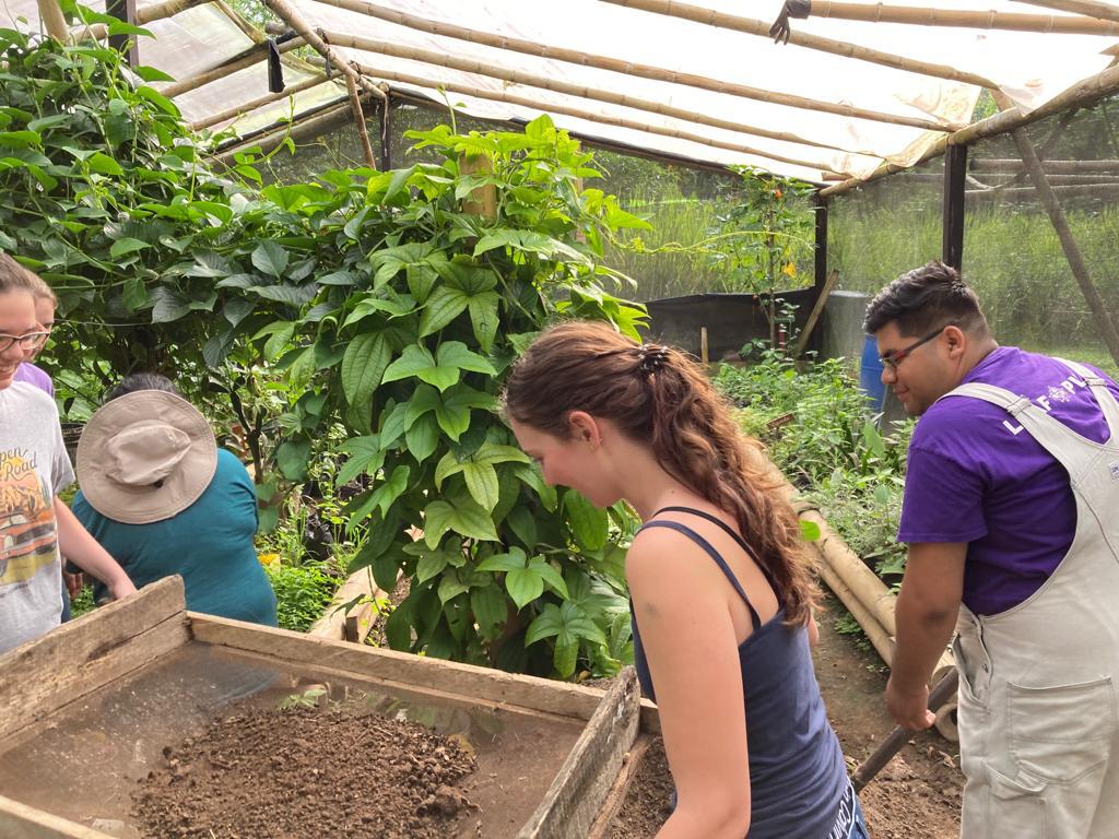 A student sifting soil through a wooden screen inside a greenhouse.