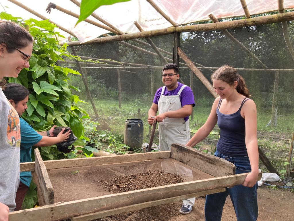 Students working together to sift soil in a greenhouse.