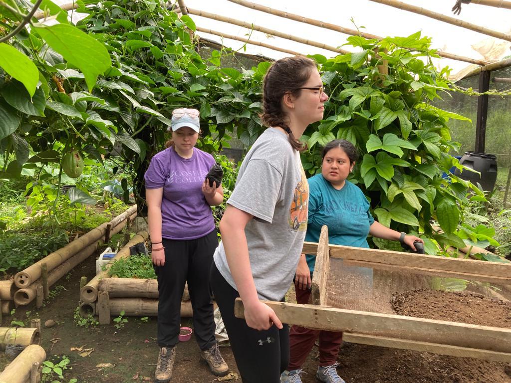 A group of students working with plants and soil inside a greenhouse.