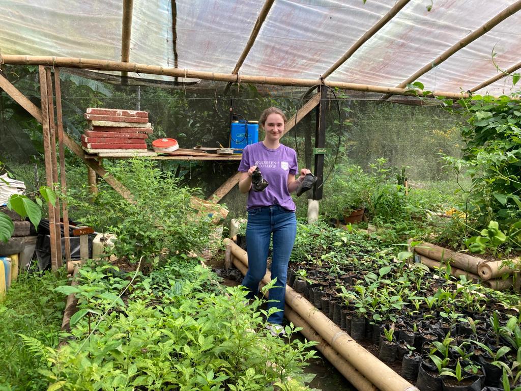 A student standing among rows of seedlings in a plant nursery.