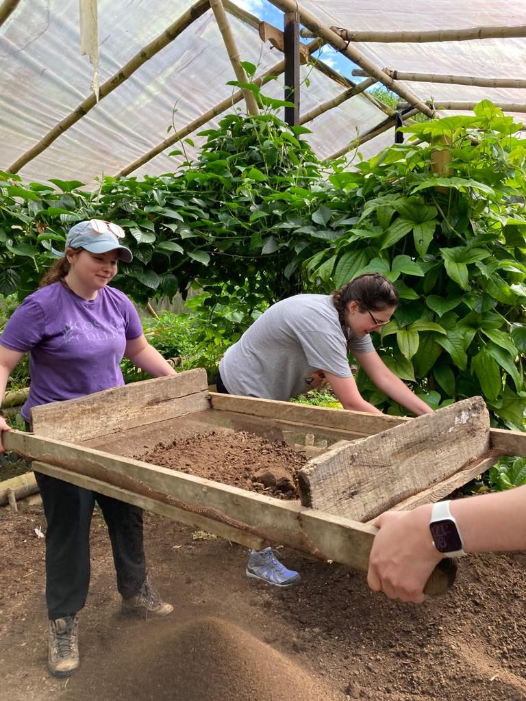 Students sifting soil together through a wooden screen.
